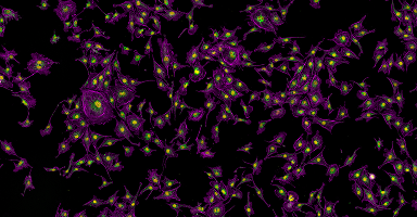 Engineered fluorescent biosensors